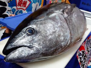 名古屋でマグロ解体ショーはレモンケータリング